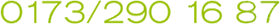 0173/290 16 87